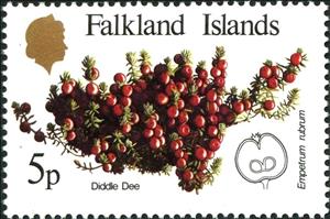 Stamp, Native Fruits, Falkland Islands,  , Fruits