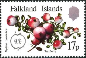 Stamp, Native Fruits, Falkland Islands,  , Fruits
