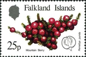 Stamp, Native Fruits, Falkland Islands,  , Fruits