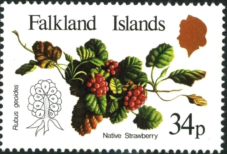 Native Fruits