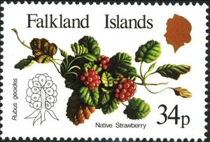 Stamp, Native Fruits, Falkland Islands,  , Fruits
