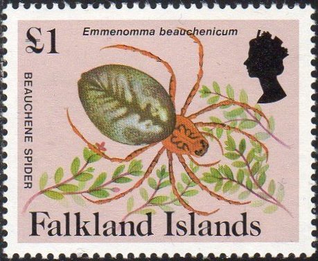 Beauchene Spider (Emmenomma beauchenicum)