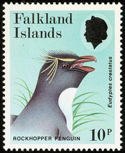 Stamp, Southern Rockhopper Penguin (Eudyptes crestatus), Falkland Islands,  , Birds, Penguins, Animals (Fauna)