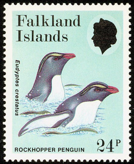 Southern Rockhopper Penguin (Eudyptes crestatus)