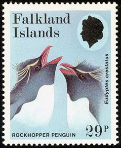 Stamp, Southern Rockhopper Penguin (Eudyptes crestatus), Falkland Islands,  , Birds, Penguins, Animals (Fauna)