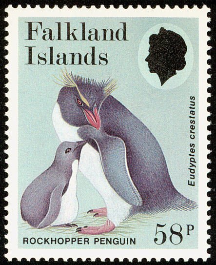 Southern Rockhopper Penguin (Eudyptes crestatus)
