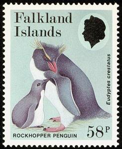 Stamp, Southern Rockhopper Penguin (Eudyptes crestatus), Falkland Islands,  , Birds, Penguins, Animals (Fauna)