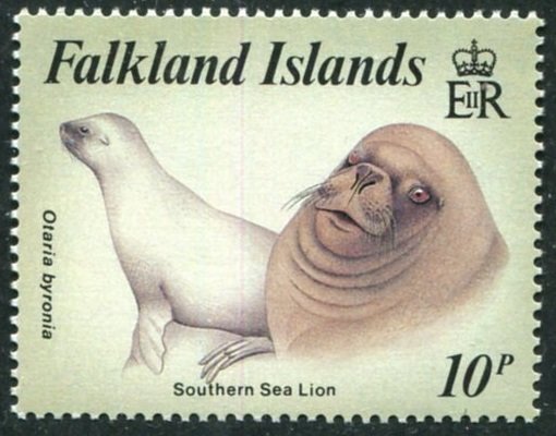 Southern Sea Lion (Otaria byronia) 
