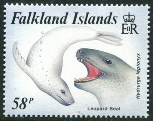 Leopard Seal (Hydrurga leptonyx)