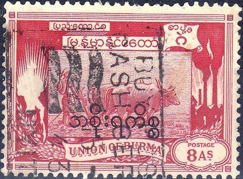 Ploughing of the Rice Field