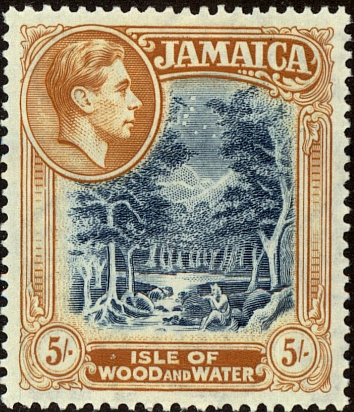 Woodland scene