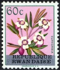 Stamp, RW-U 180 (Ruanda-Urundi) overprint "REPUBLIQUE RWANDAISE", Rwanda,  , Flowers