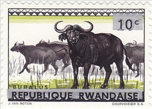Stamp, African Buffalo (Syncerus caffer), Rwanda,  , Animals (Fauna), Buffaloes