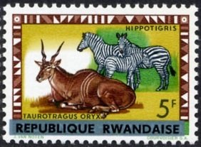 Common Eland (Taurotragus oryx), Plains Zebra (Equus quagga)