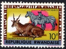 Common Eland (Taurotragus oryx), Plains Zebra (Equus quagga)