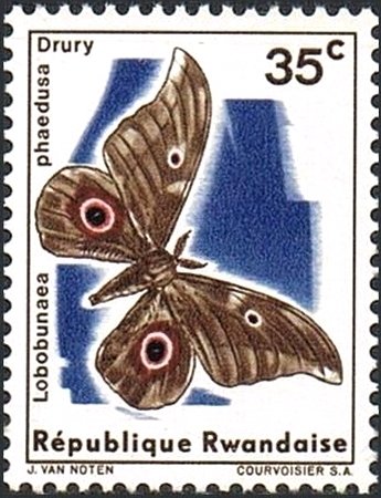 Moth (Lobobunaea phaedusa)