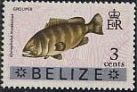 Stamp, Misty Grouper (Epinephelus mystacinus), Belize,  , Animals (Fauna), Fishes