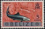 Stamp, Bonefish (Albula vulpes), Belize,  , Animals (Fauna), Fishes