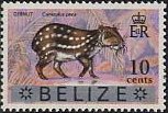 Stamp, Lowland Paca (Cuniculus paca), Belize,  