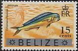 Common Dolphinfish (Coryhaena hippurus)