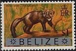 Stamp, Tayra (Tayra barbara), Belize,  