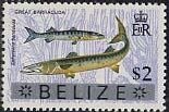 Stamp, Great Barracuda (Sphyraena barracuda), Belize,  , Fishes