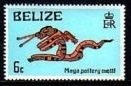 Fire Snake