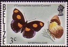 Stamp, Stoplight Catone (Catonephele numilia), Belize,  , Insects, Butterflies