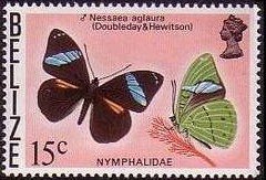 Stamp, Common Olivewing (Nessaea aglaura), Belize,  , Insects, Butterflies