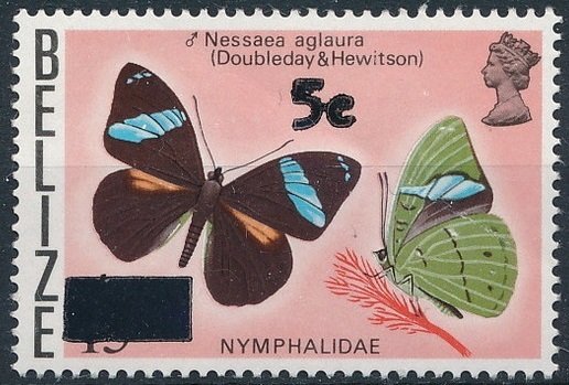 Common Olivewing (Nessaea aglaura) - Overprinted