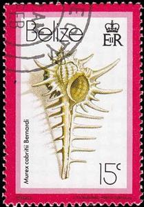 Stamp, (Murex cabritii), Belize,  , Shells