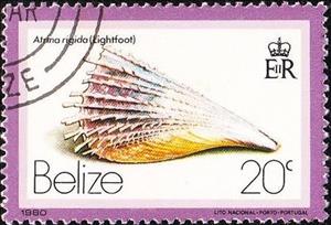 Stamp, Rigid Pen Shell (Atrima rigida), Belize,  , Shells