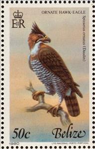 Stamp, Ornate Hawk-eagle (Spizaetus ornatus), Belize,  , Birds
