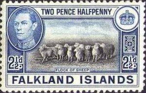 Stamp, Domestic Sheep (Ovis ammon aries), Falkland Islands,  , Landscapes