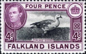 Stamp, Greater Upland Goose (Chloephaga picta leucoptera) , Falkland Islands,  , Landscapes, Birds, Animals (Fauna)