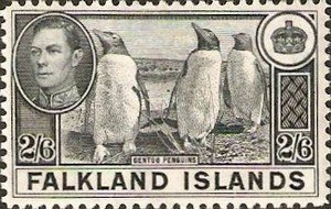 Gentoo Penguin (Pygocelis papua) 