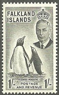 Gentoo Penguin (Pygoscelis papua)