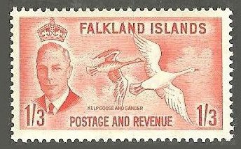 Stamp, Kelp Goose (Chloephaga hybrida) , Falkland Islands,  