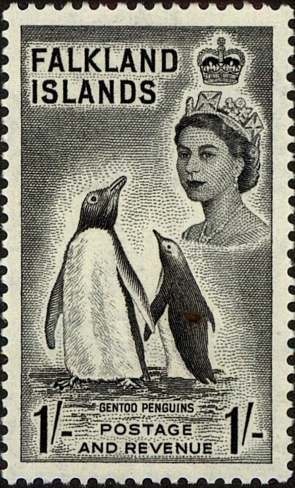 Gentoo Penguin (Pygoscelis papua)