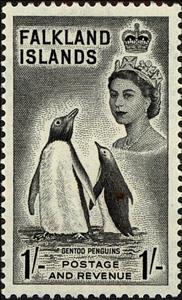 Stamp, Gentoo Penguin (Pygoscelis papua), Falkland Islands,  , Landscapes