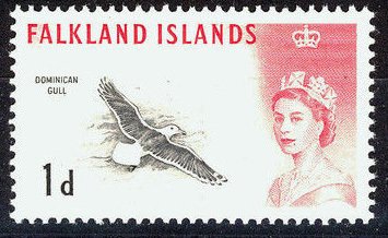 Stamp, Kelp Gull (Larus dominicanus) , Falkland Islands,  , Birds