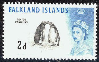 Stamp, Gentoo Penguin (Pygoscelis papua), Falkland Islands,  , Birds