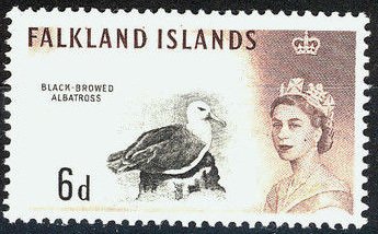 Stamp, Black-browed Albatros (Diomedea melanophres) , Falkland Islands,  , Birds