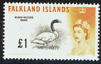 Stamp, Black-necked Swan (Cygnus melanocolyphus) , Falkland Islands,  , Birds