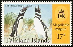 Stamp, Magellanic Penguin (Spheniscus magellanicus), Falkland Islands,  , Birds, Penguins, Animals (Fauna)