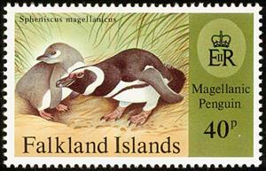 Stamp, Magellanic Penguin (Spheniscus magellanicus), Falkland Islands,  , Birds, Penguins, Animals (Fauna)