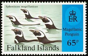 Stamp, Magellanic Penguin (Spheniscus magellanicus), Falkland Islands,  , Birds, Penguins, Animals (Fauna)