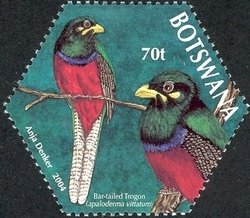 Stamp, Bar-tailed Trogon (Apaloderma vittatum), Botswana,  , Birds