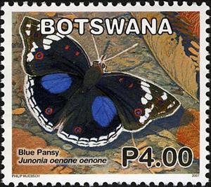 Stamp, Dark Blue Pansy (Junonia oenone oenone), Botswana,  , Butterflies