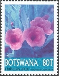 Stamp, Pterodiscus speciosus, Botswana,  , Flowers, Plants (Flora)